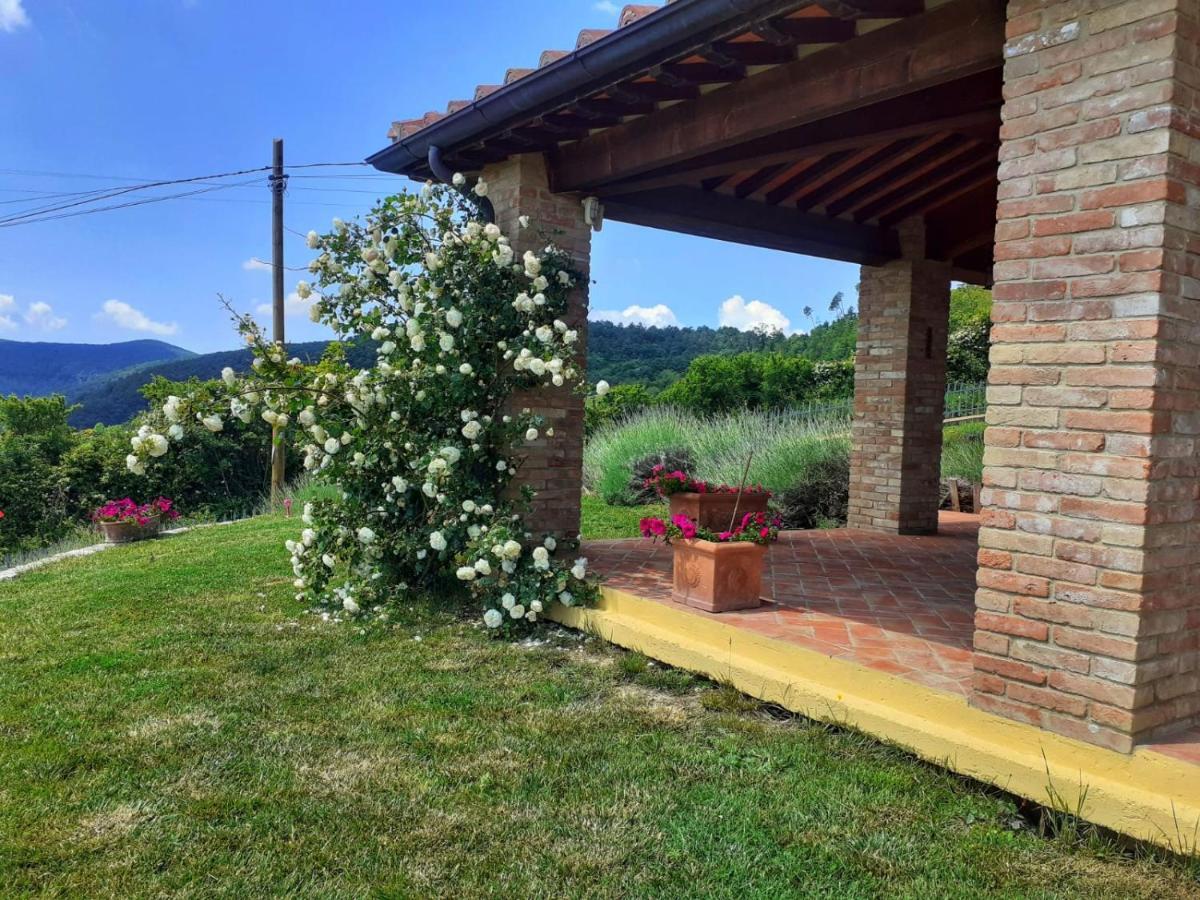 Dimora Degli Angeli Villa Chianni Bagian luar foto